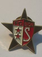 32. Pin - FC Sion
