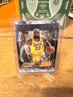 LeBron James serenity