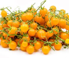 Golden Currant - Wildtomate - 50 Samen