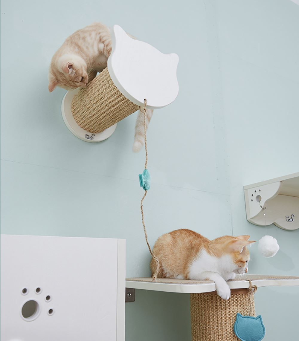 Liege- & Schlafplätze: CatS Design Kletterwand große Katzen ... – Neu und originalverpackt aus Mönchengladbach von Zoopplier 7