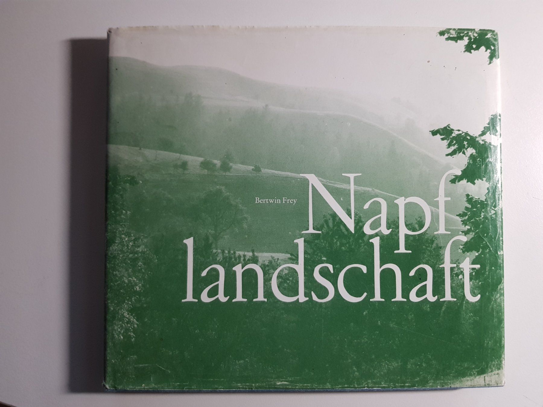 Libri: Buch: Napf Landschaft Bertwin Frey 1989 – Usato da Walterswil BE venduto da Lonitti