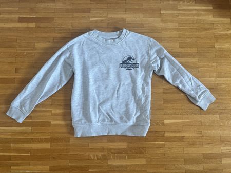 Sweater enfant. Jurassic Park - 5-6 ans (110-116 cm)
