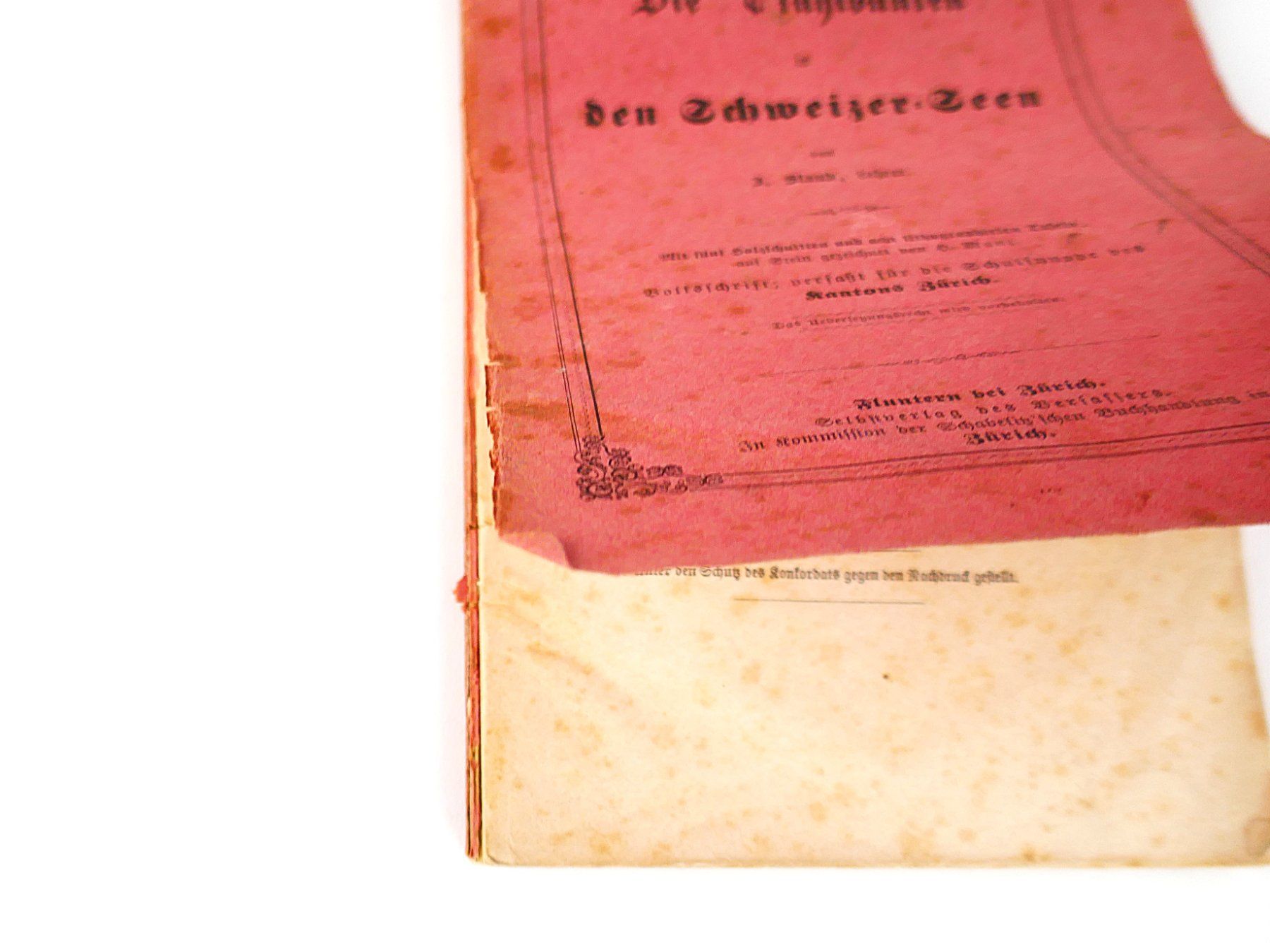 Libri: Buch "Die Pfahlbauten" – Usato da Urtenen-Schönbühl venduto da Restwert_Schoenbuehl 5
