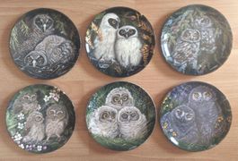 12 Tolle Baby Eulen Teller ganze Serie