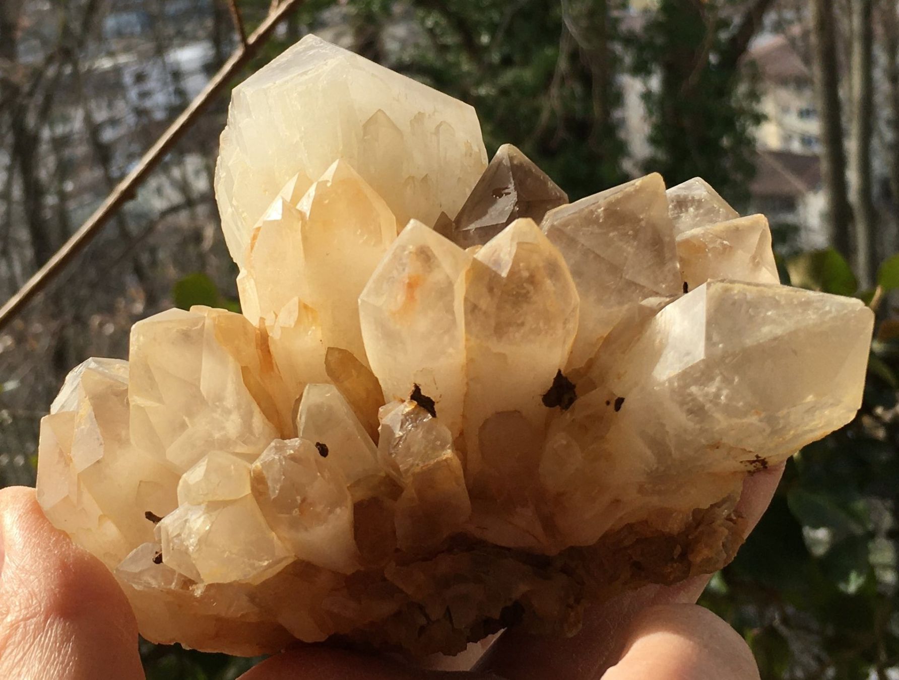 Minerali & Pietre curative: macle de quartz – Usato da Vevey venduto da zabounetta 8