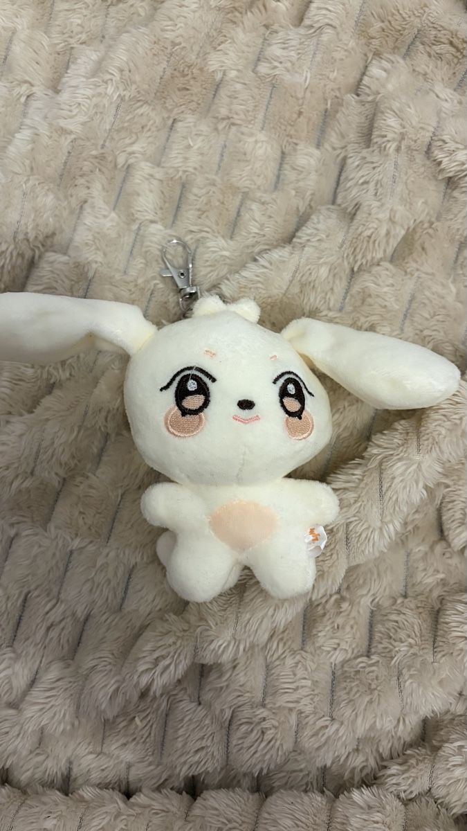 Portachiavi: ATEEZ ANITEEZ Plush Keyring SANDDEOKI – Nuovo (secondo la descrizione) da Neuhausen venduto da ste_7b6n