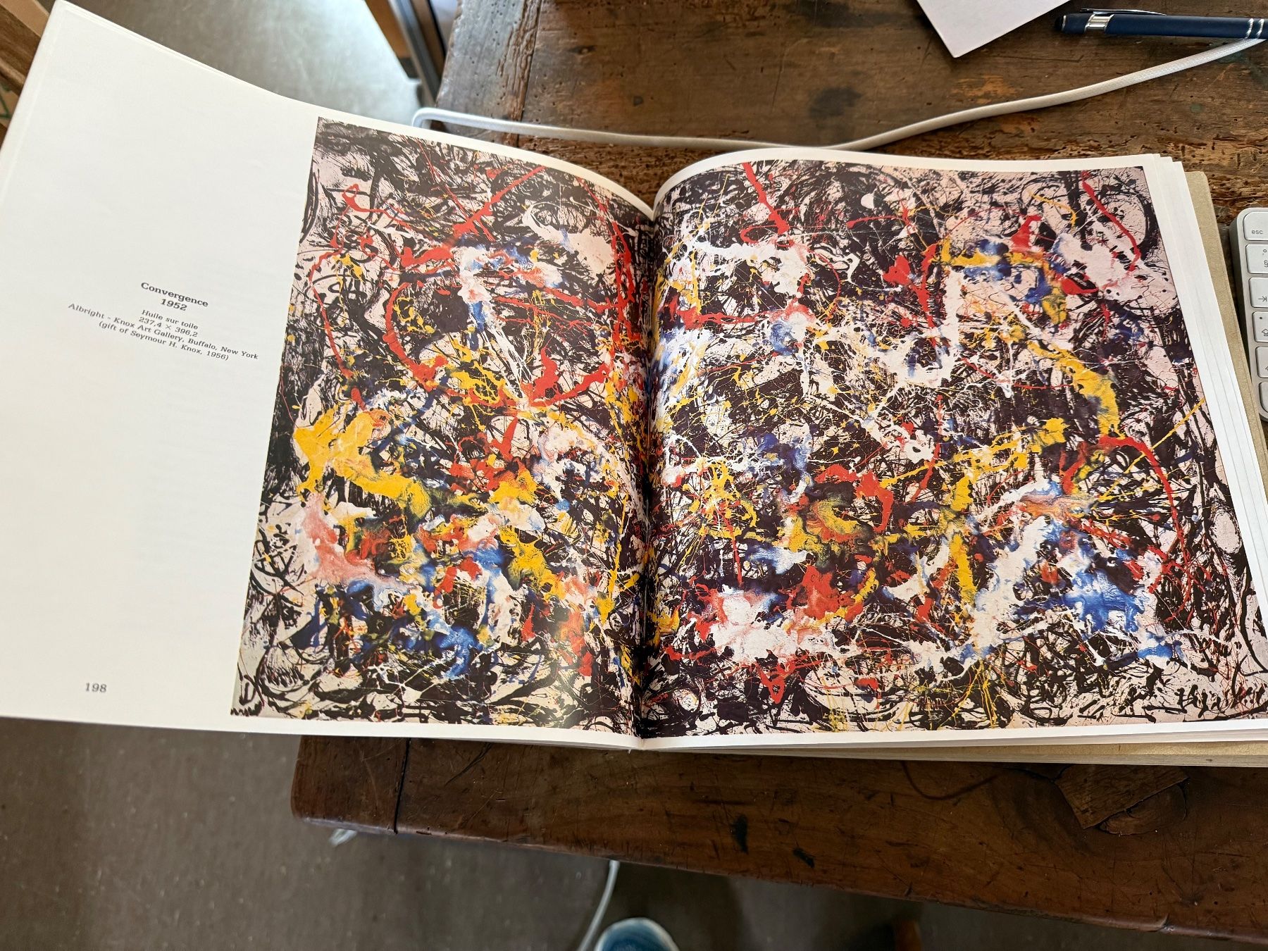 Libri: Jackson POLLOCK – Usato da Bern venduto da Jwpm66 4