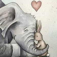 Profile image of Elefant81