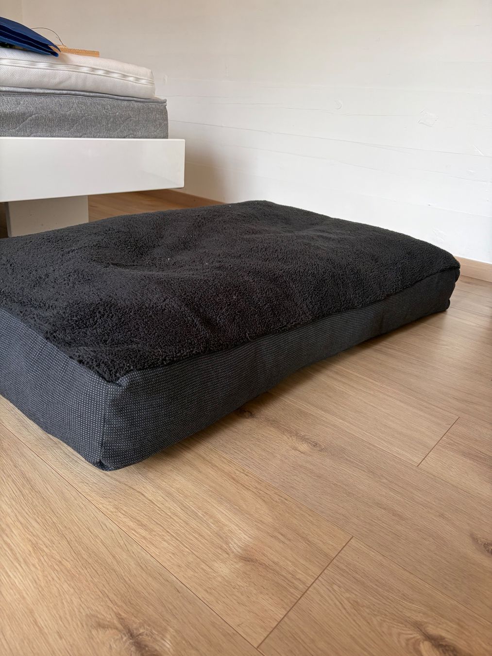 Cucce & Letti: Hundebett Fatboy – Usato da Saas-Fee venduto da LPB93 1
