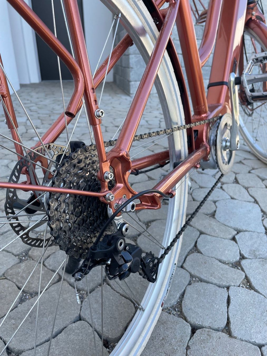 Ego Movement Biciclette: Ego Movement Cleopatra 2.0 – Usato da Oberengstringen venduto da Martalina 1