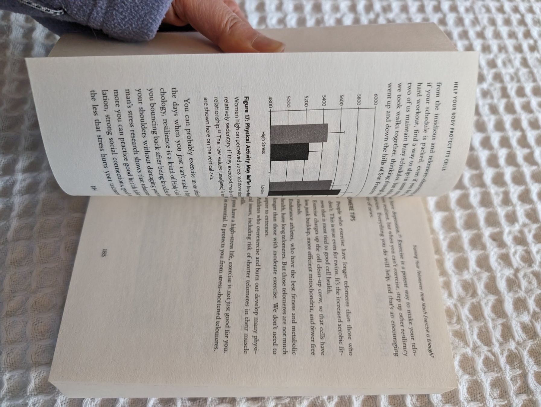 Libri: The telomere effect - Elizabeth Blackburn – Nuovo (secondo la descrizione) da Glis venduto da livespringly 5