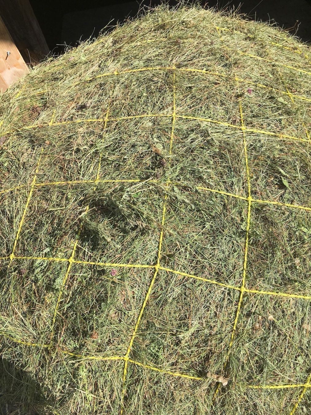 Corde: Seiltuch/ Heunetz 2.20x2.20 – Nuovo e nell'imballaggio originale da Frutigen venduto da Kronleuchter 3