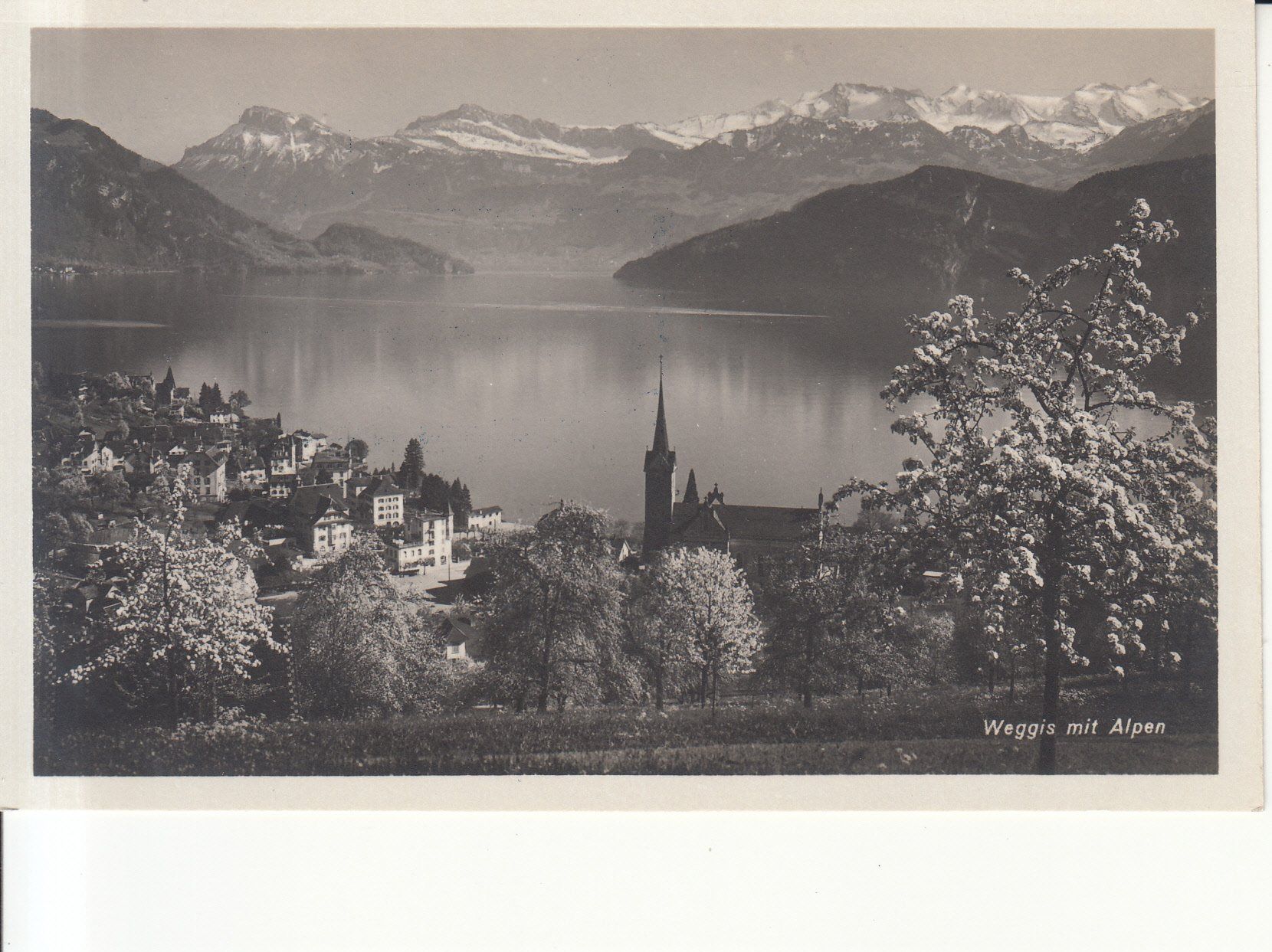 Cartoline postali: Weggis ca. 1930, Schneider – Usato da Bürglen TG venduto da StampGraf