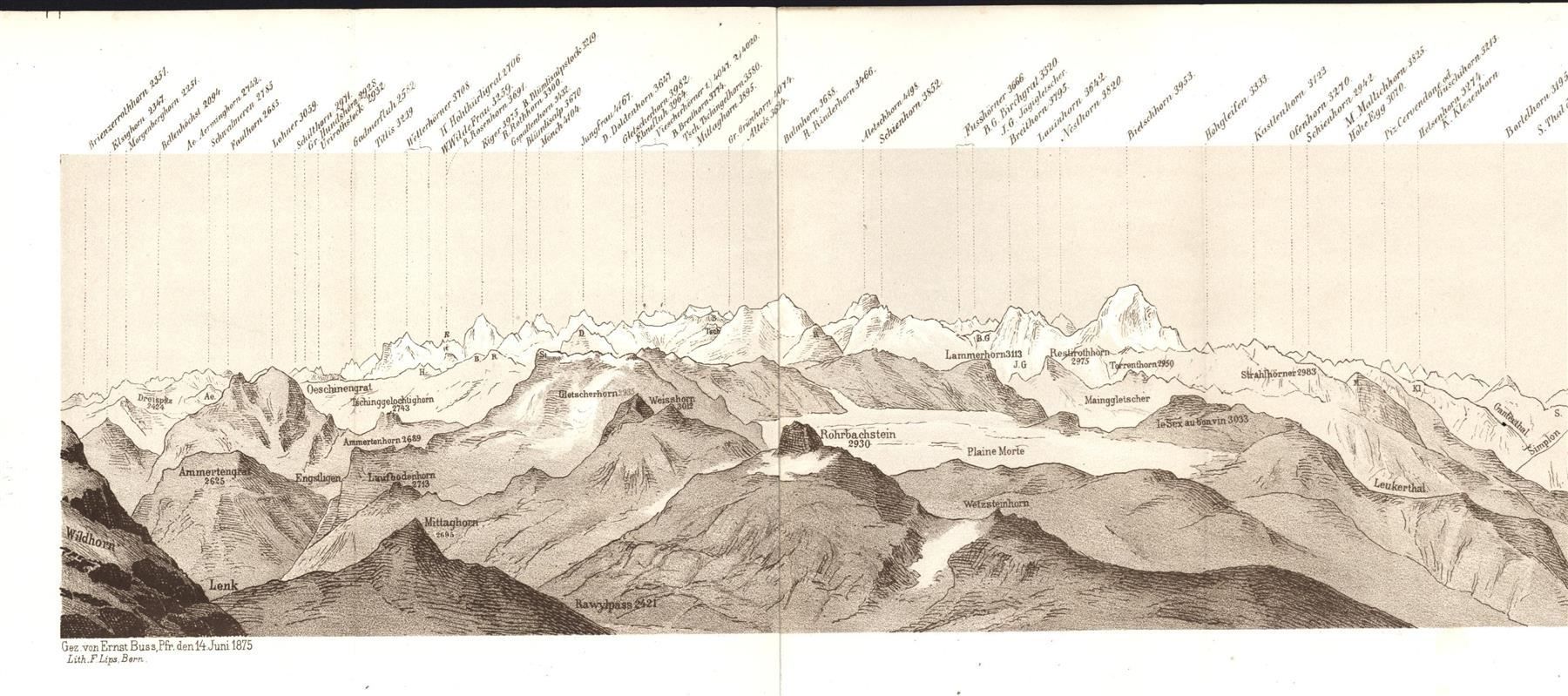 Incisioni: Wildhorn Panorama von Ernst Buss 1875 – Usato da Rafz venduto da Helvet32 1