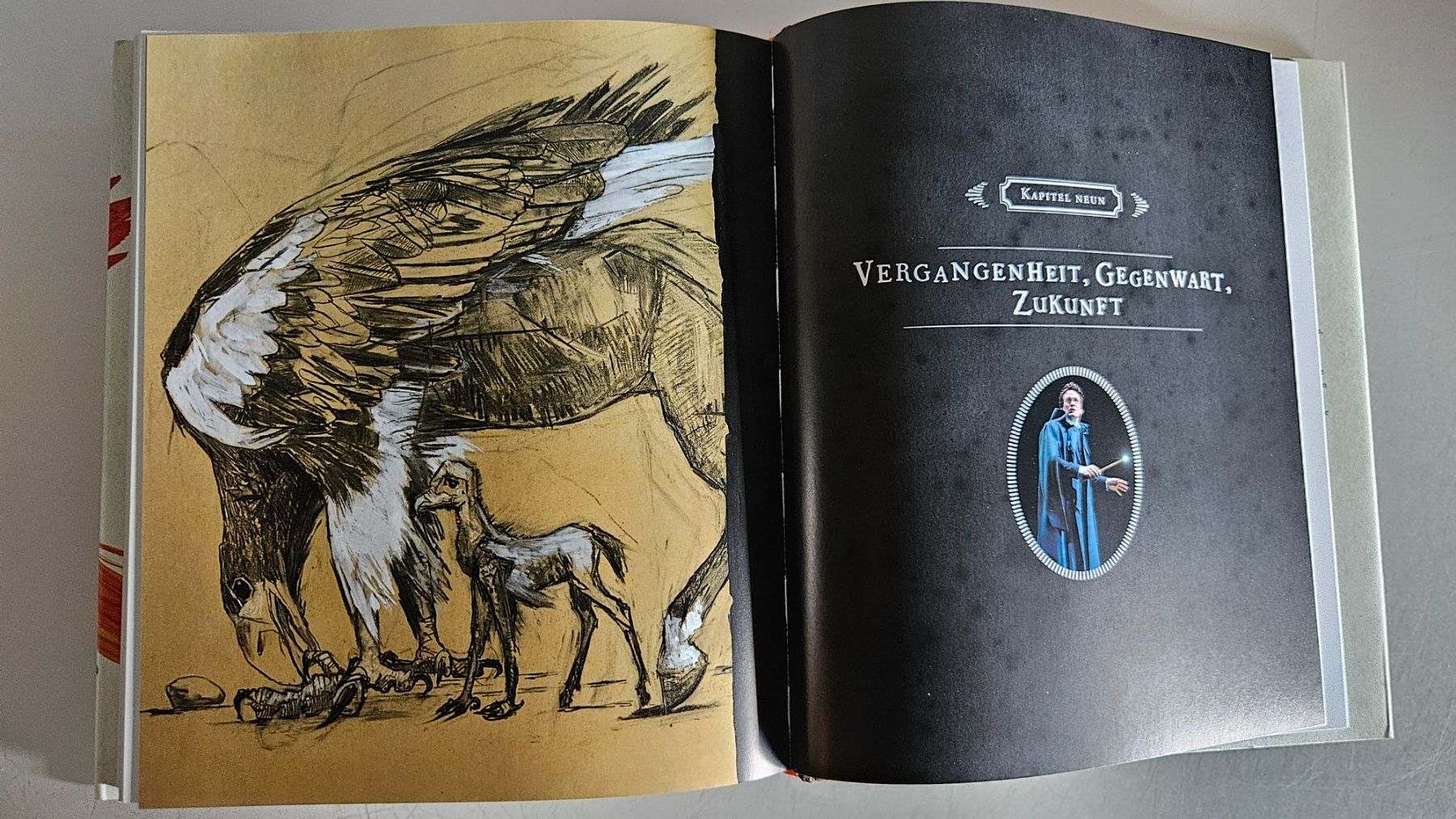 Libri: Harry Potter: Eine Geschichte voller Magie – Usato da Basel venduto da True_Hofer_Store 7
