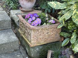 Antike Terrakotta Pflanzkübel, Frühling, Garten