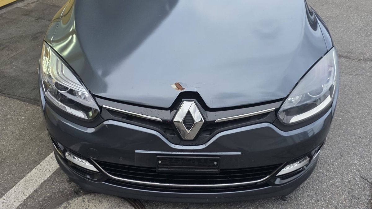 Renault Automobili: Renault Megane 1.6dci Bose Edition – Usato da Beromünster venduto da inf_s62f 3