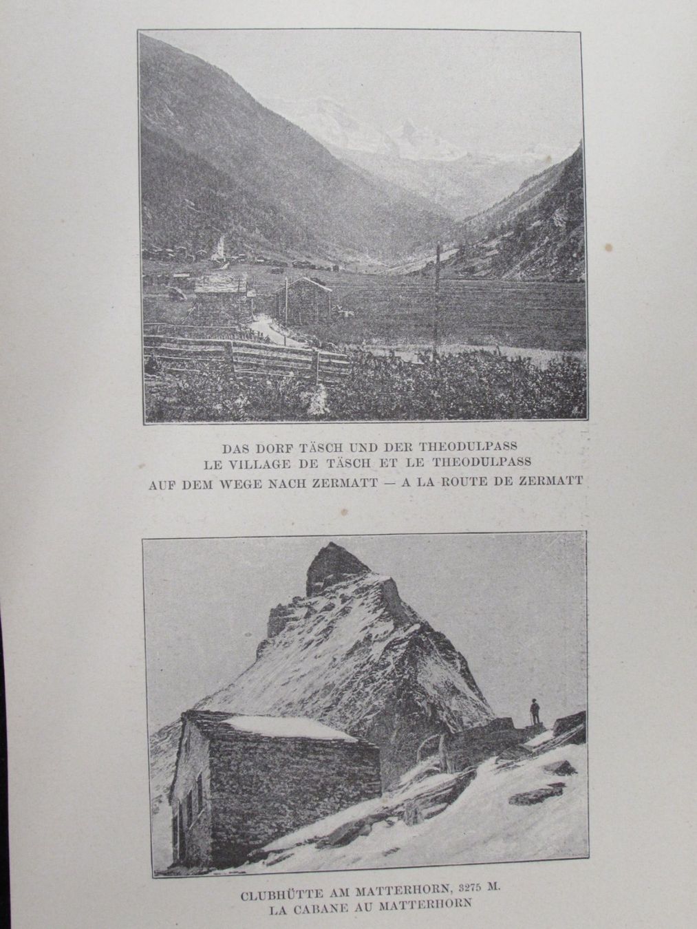Incisioni: Gletscher Schweiz – Usato da Walchwil venduto da Shells1 3