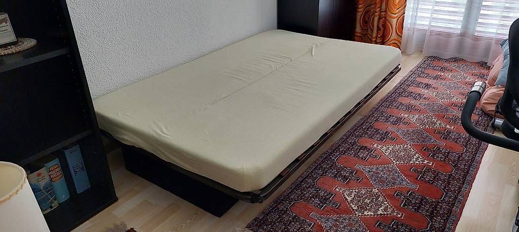 Sofas: Bettsofa  – Gebraucht aus Siebnen von pch_p6w5 2