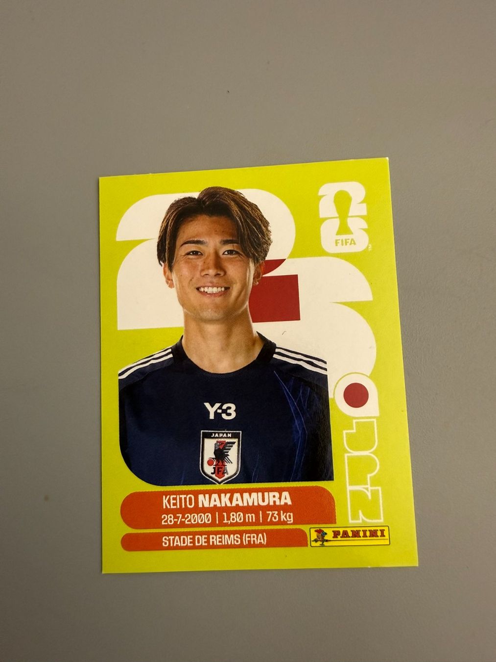 Panini Carte collezionabili: Panini Keito Nakamura JPN15 – Usato da Liebefeld venduto da Ronaldo-1996