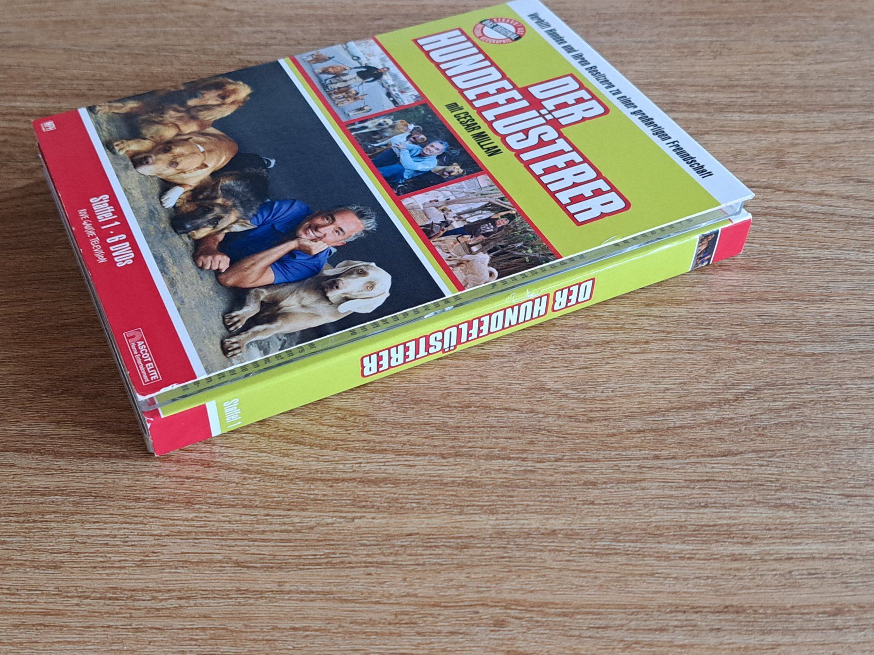 Alle DVDs: Der Hundeflüsterer - Staffel 1, Boxset mit 6 DVDs – Neu (gemäss Beschreibung) aus Unterseen von Kanica 6