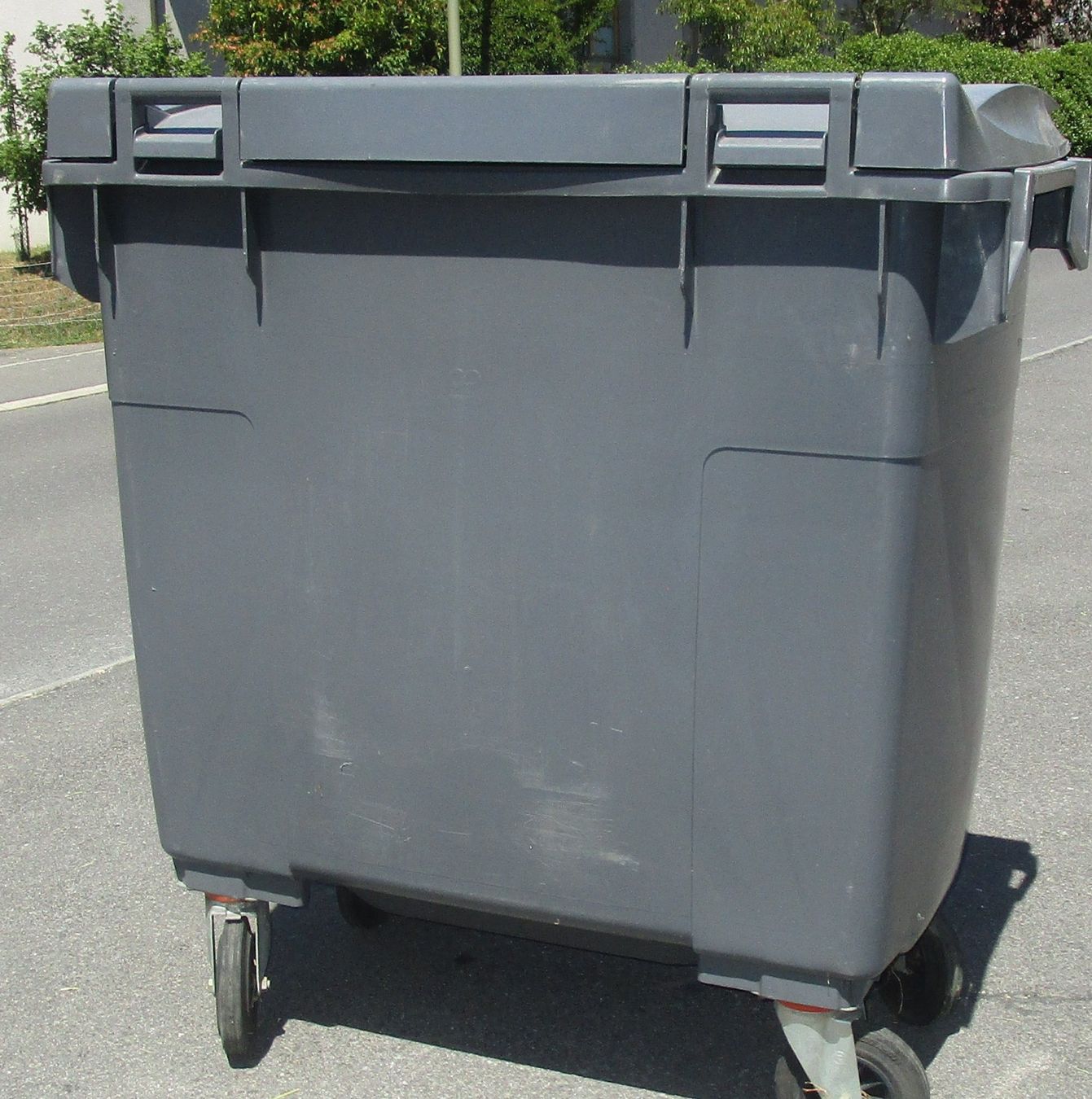 Korpus: Abfallcontainer Kunststoff 770 L – Gebraucht aus Wädenswil von Freizeitspass11