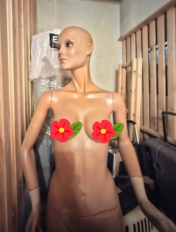 Altro in Decorazioni & Accessori: Mannequin vitrine complet articulé – Usato da Genève venduto da a_t_g5kq