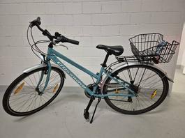 Fahrrad Crosswave