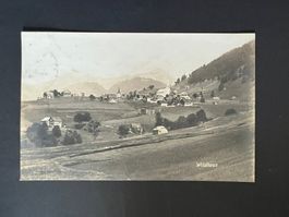 AK Wildhaus 1923   (V625)