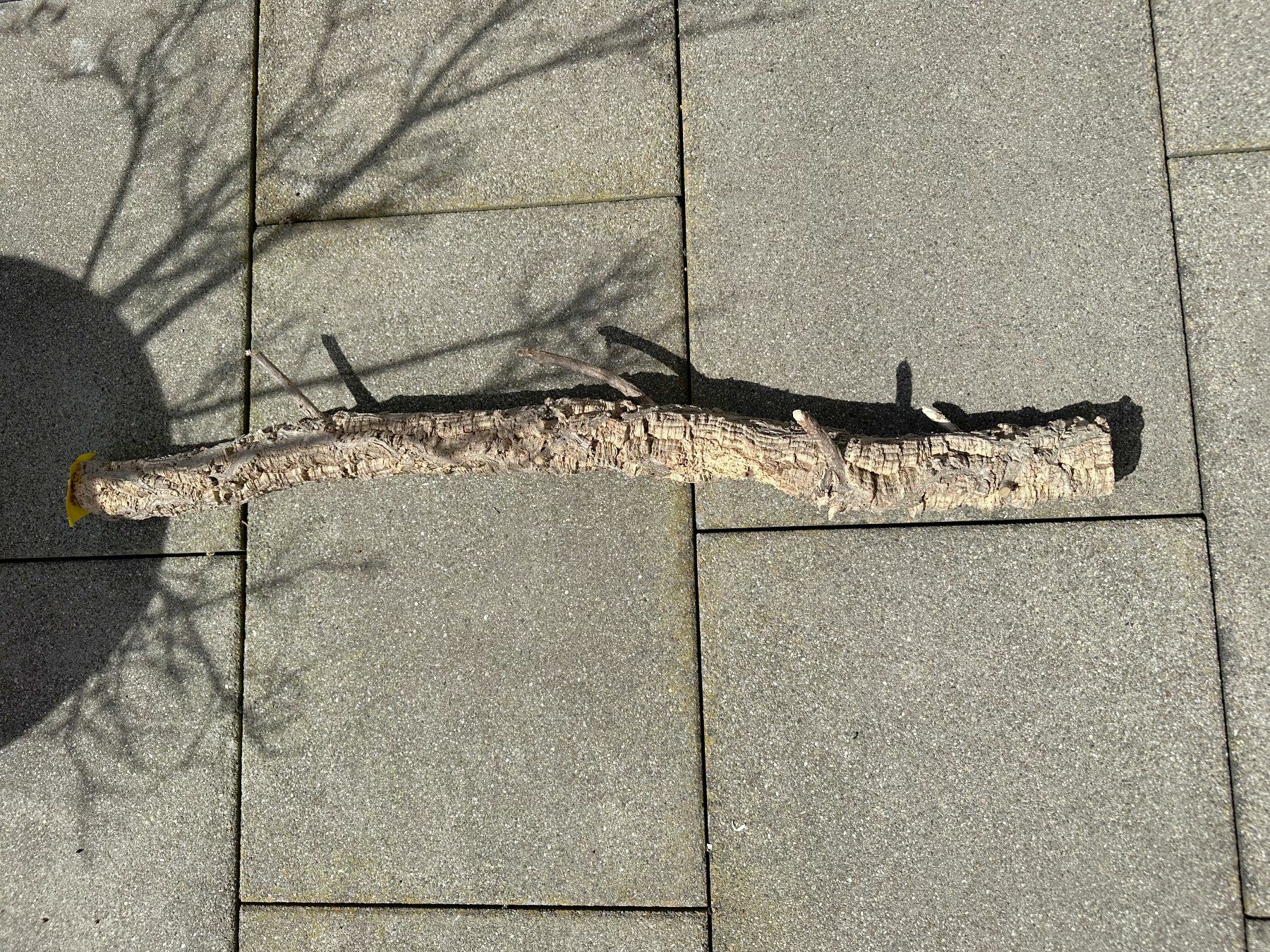 Articoli in legno: Trixie Kork Troncos ca. 87cm Lang & 6cm Durchmesser – Usato da Samstagern venduto da Panizza 2