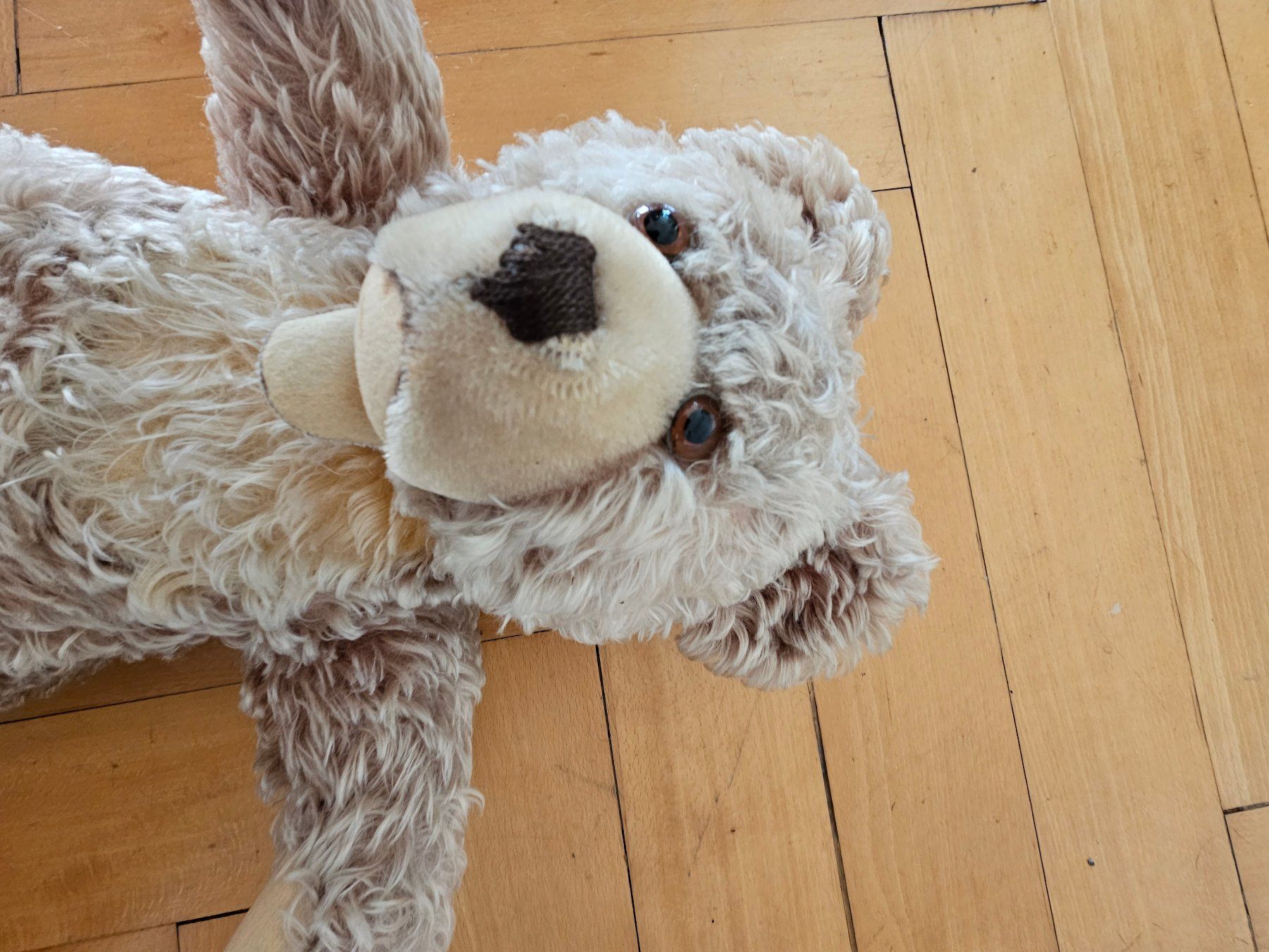 Spielzeuge: Teddybär – Gebraucht aus Zürich von tschudin.barbara 3