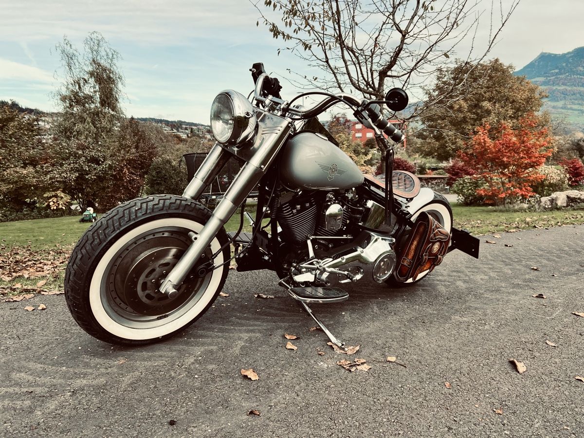 Harley-Davidson Chopper: 1992 Harley Davidson Softail Precision Bobber THE FURY – Usato da Meggen venduto da PrecisionBobbers 3