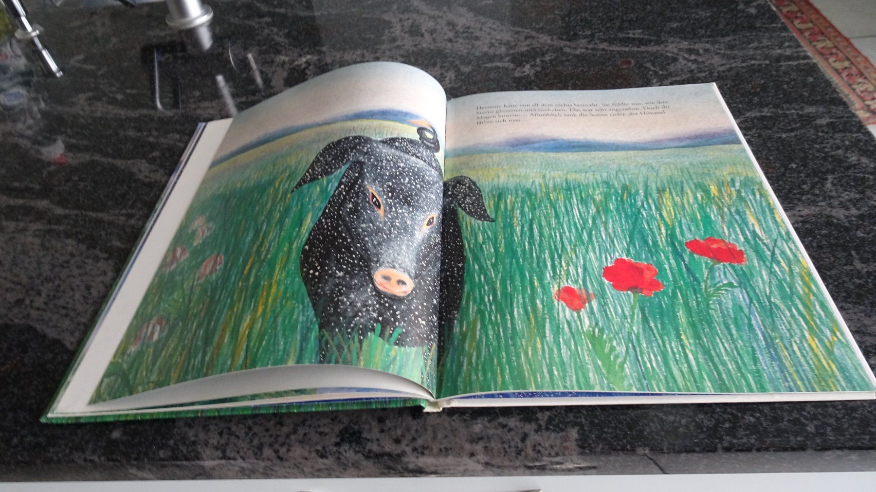 Bücher: HERMINE das Schwein   Bilderbuch – Gebraucht aus Zürich von Roulet 7