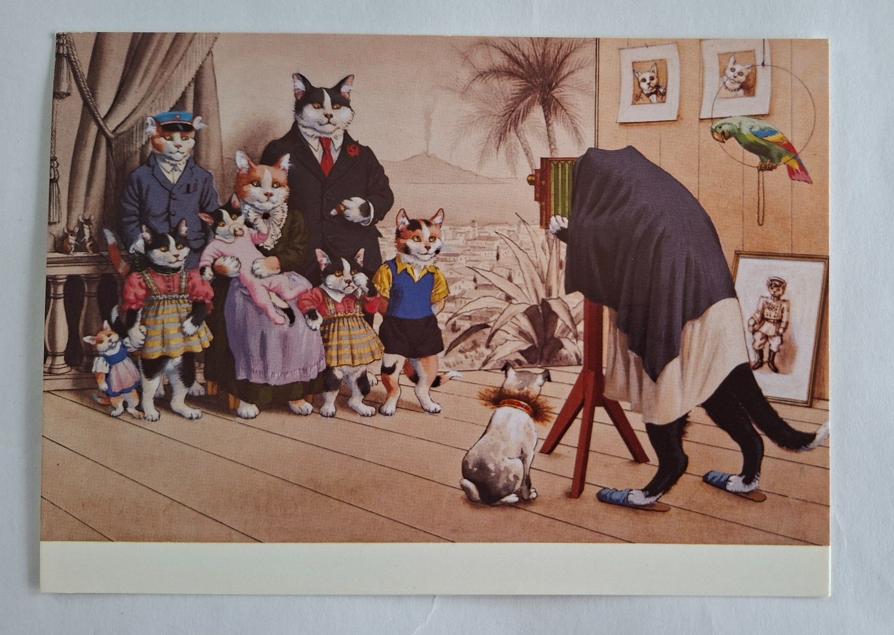 Cartoline postali: AK Katzen Katzenkarte Nr. 228 – Usato da Opfikon venduto da Diversamente