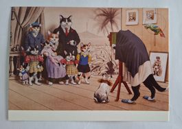 AK Katzen Katzenkarte Nr. 228