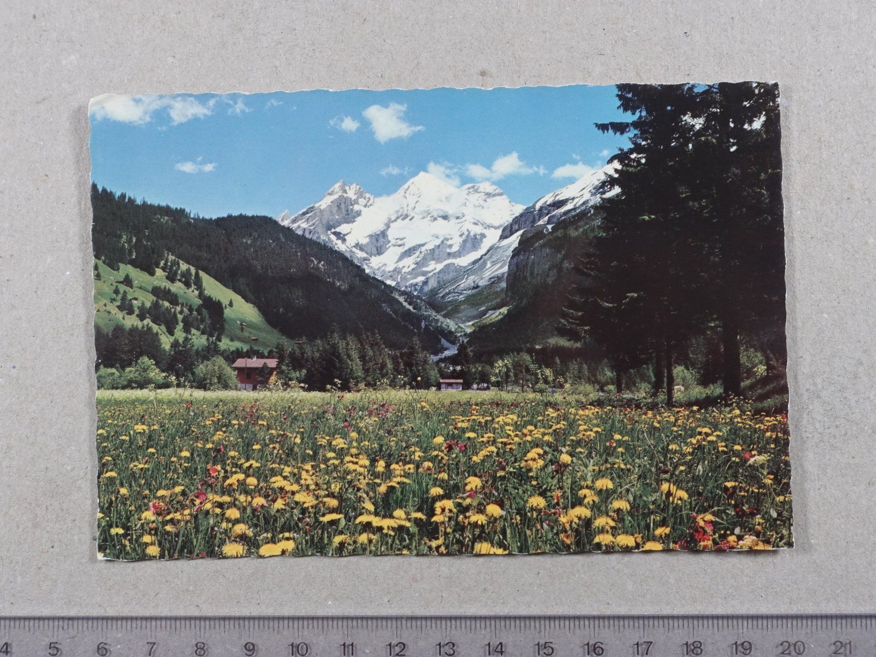 Cartoline postali: Kandersteg, Frühling, Blümlisalpgruppe – Usato da Lenzburg venduto da fh1