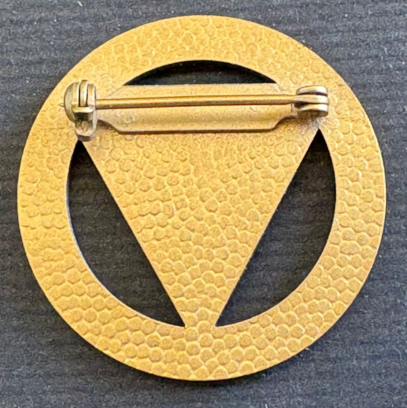 Swiss Plaquettes & Badges: TEST INTERNATIONAL – D'occasion à Ostermundigen par Wyatt-Earp 1