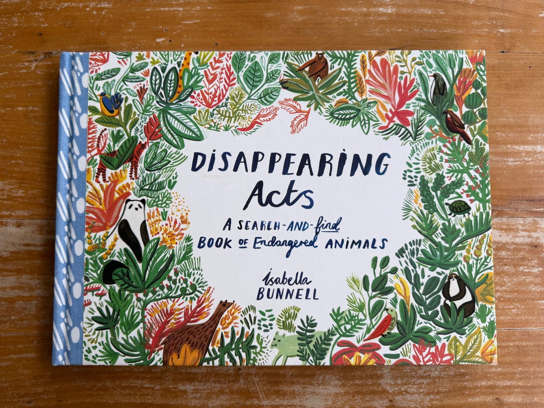 Libri: Kinderbuch - Disappearing Acts – Usato da Zürich venduto da laurapb
