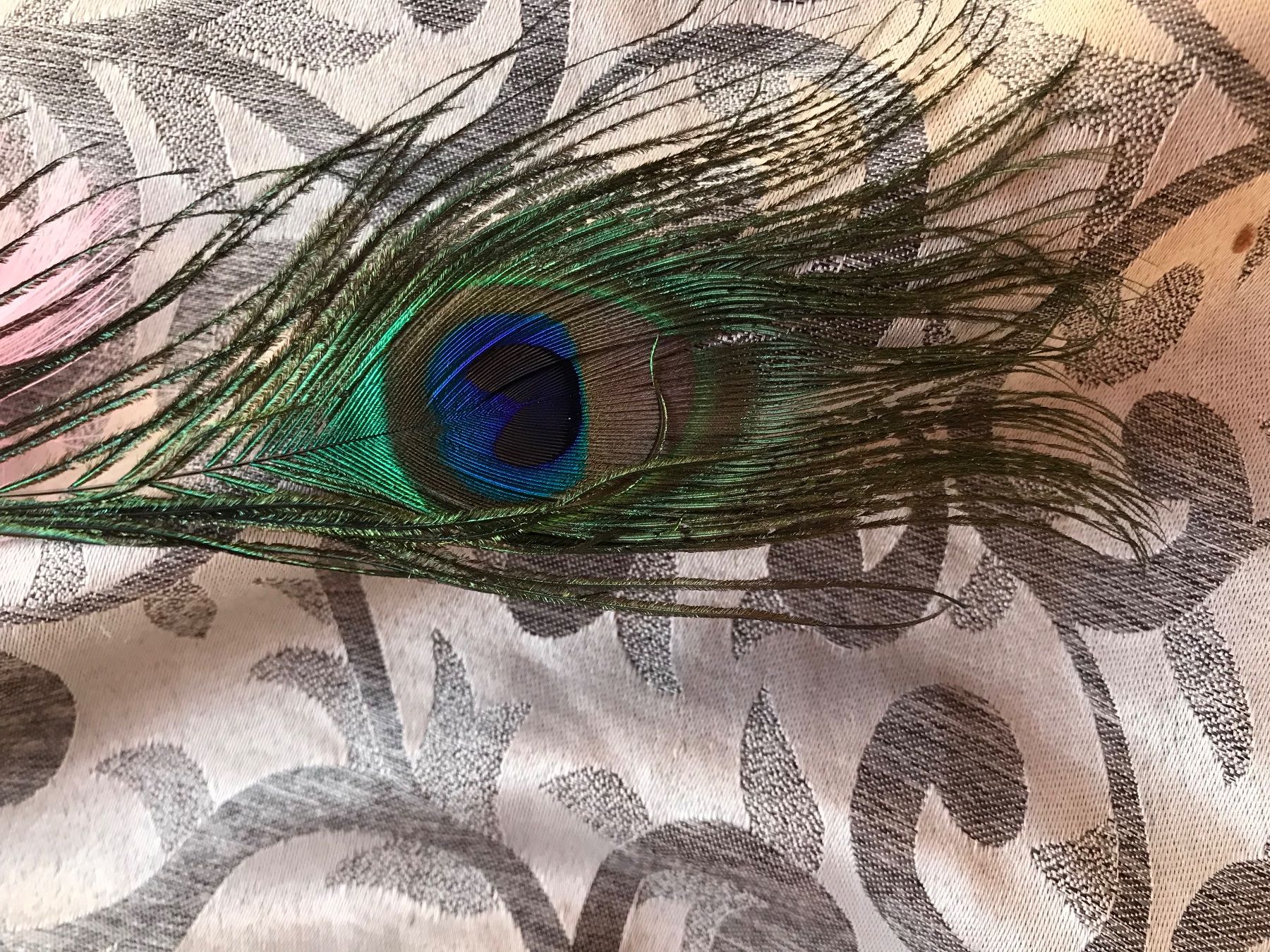 Tutte le decorazioni: Pfau lila- rosa Christbaumschmuck Vogel – Nuovo e nell'imballaggio originale da Alpnach Dorf venduto da marvo 5