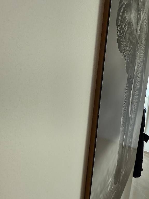 Foto & Immagini: Wandbild mit Elefantenmotiv – Nuovo e nell'imballaggio originale da Kloten venduto da sil_k82b 1