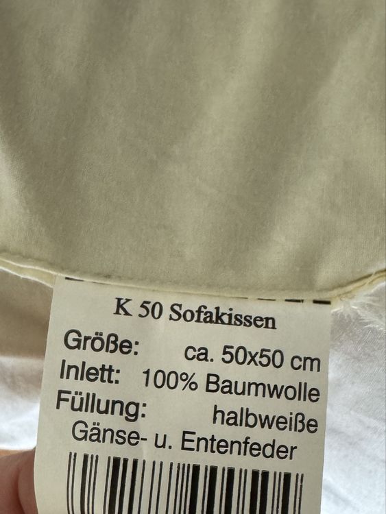 Globus Cuscini: Sofakissen 50x50 cm, Federnfüllung, inkl. Leinenbezug – Usato da Bern venduto da chr_y8f7 3