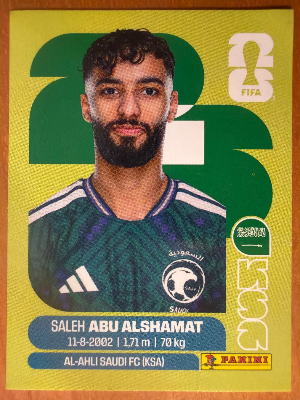 Panini Carte collezionabili: Panini KSA14 – Nuovo (secondo la descrizione) da Susten venduto da Rechnun