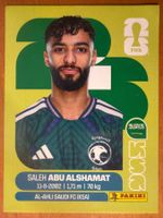 Panini KSA14