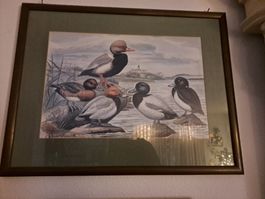 Gerahmtes Bild mit Entenmotiv – Vintage Wanddekoration!