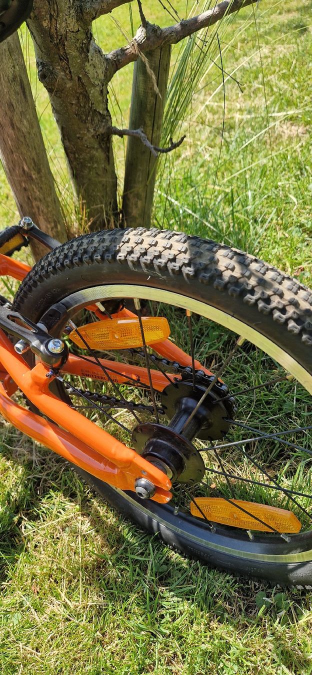 Naloo Biciclette: Naloo Chameleon 16 "  – Usato da Einsiedeln venduto da Shenayka 3
