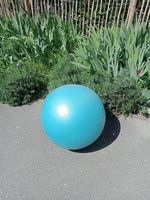 Fitness Ball 