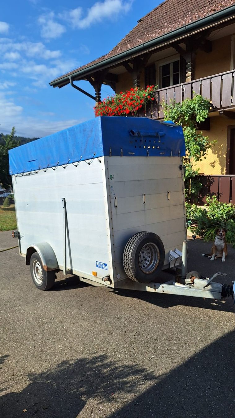 Daltec Anhänger: Viehtransporter – Gebraucht aus Gettnau von chochibleck
