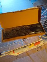 Tastatur, Maus, Kabelgebunden
