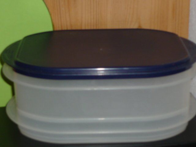 Tupperware Contenitori & Simili: TUPPERWARE FÜR AUFSCHNIT UND KÄSE – Usato da St.Gallen venduto da Anso 1