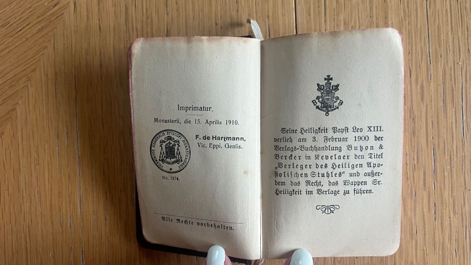 Libri: Antikes Gebetsbuch 1910 – Usato da Schübelbach venduto da Dolly990_2 4